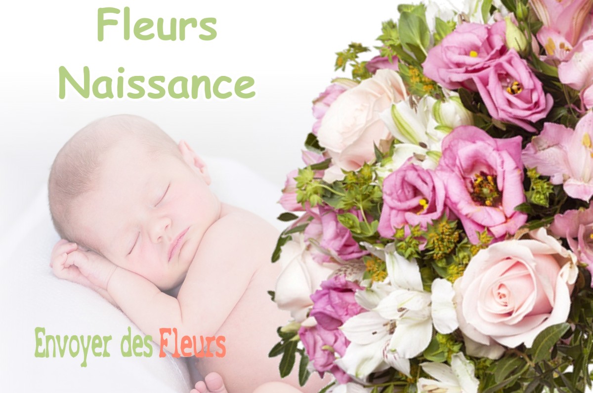 lIVRAISON FLEURS NAISSANCE à COURLAOUX